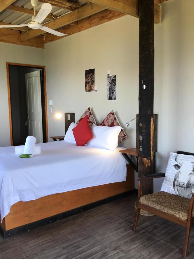 Coram Deo Saltywaves Double En-Suite Rooms With Sea Views Coffee Bay Luaran gambar